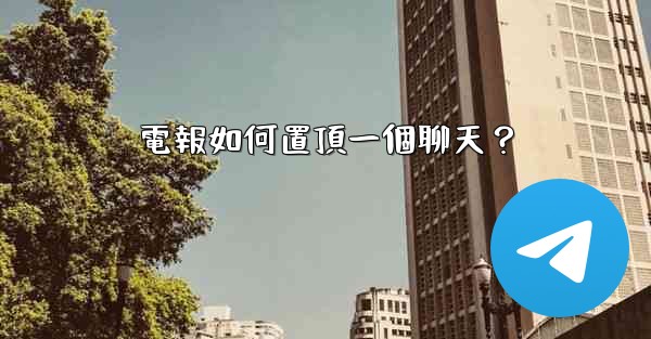 電報如何置頂一個聊天？