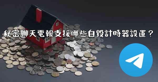 秘密聊天電報支援哪些自毀計時器設置？