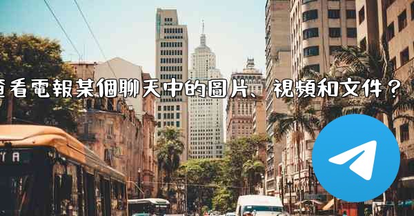 如何只查看電報某個聊天中的圖片、視頻和文件？