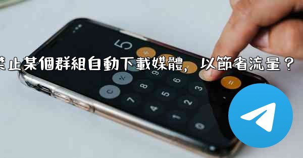 電報如何禁止某個群組自動下載媒體，以節省流量？