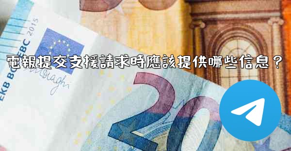 電報提交支援請求時應該提供哪些信息？