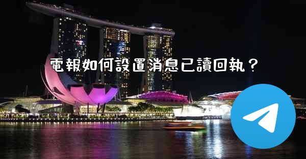 電報如何設置消息已讀回執？