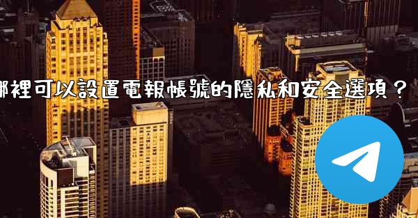 在哪裡可以設置電報帳號的隱私和安全選項？