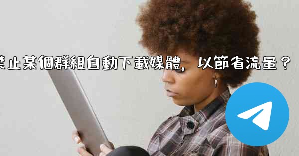 電報如何禁止某個群組自動下載媒體，以節省流量？