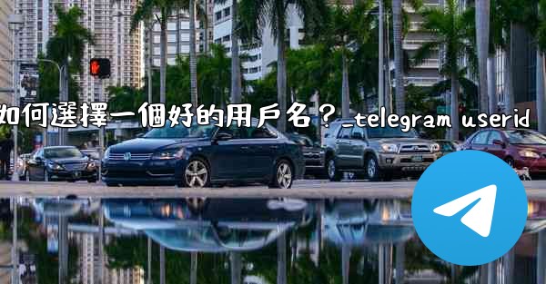 Telegram如何選擇一個好的用戶名？_telegram userid