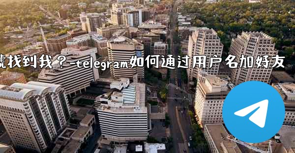 如何設置誰可以通過Telegram手機號找到我？-telegram如何通过用户名加好友