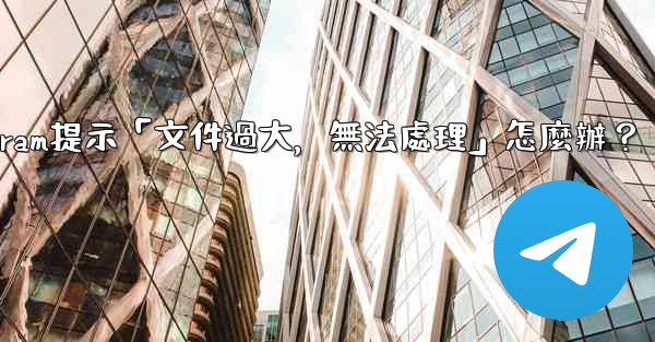 Telegram提示「文件過大，無法處理」怎麼辦？
