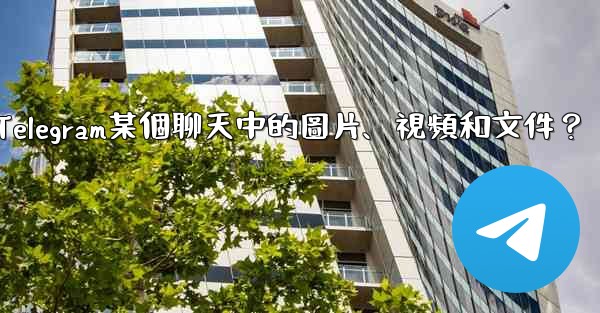 如何只查看Telegram某個聊天中的圖片、視頻和文件？