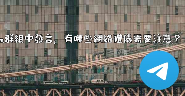 在大型Telegram群組中發言，有哪些網絡禮儀需要注意？