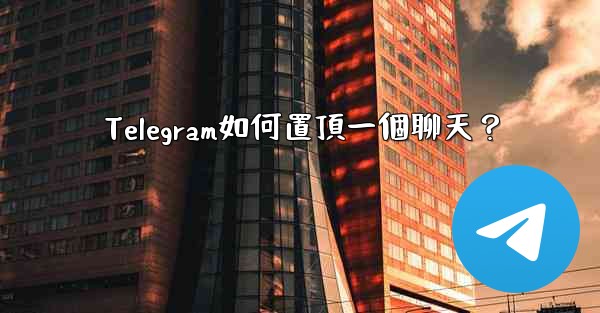 Telegram如何置頂一個聊天？