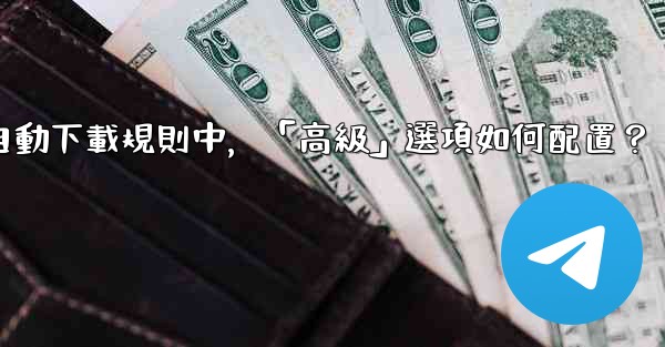 Telegram媒體自動下載規則中，「高級」選項如何配置？