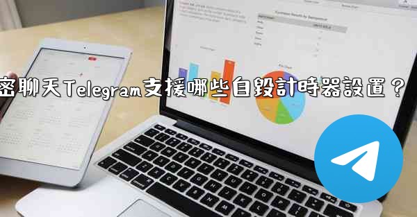 秘密聊天Telegram支援哪些自毀計時器設置？