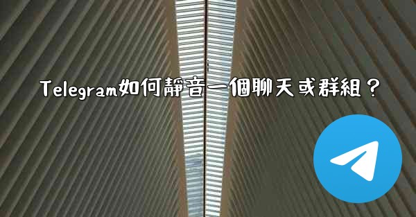 Telegram如何靜音一個聊天或群組？